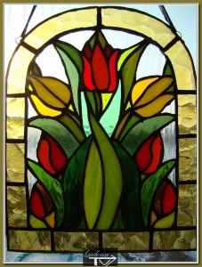 tulipany w slońcu